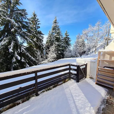 Appartement Cosy 1 Chambre, Renove Avec Terrasse Exposee Sud Font-Romeu-Odeillo-Via Exterior photo