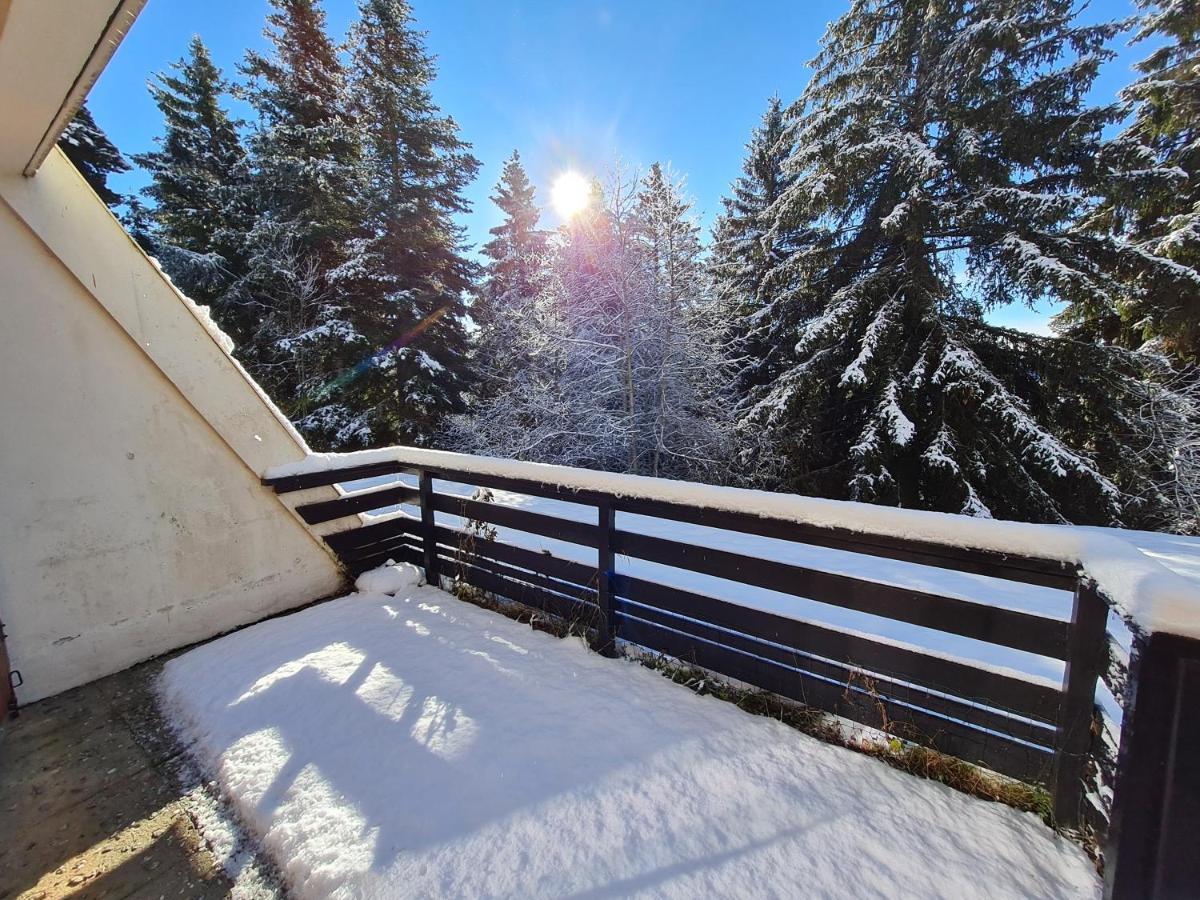 Cosy 1 Chambre, Renove Avec Terrasse Exposee Sud