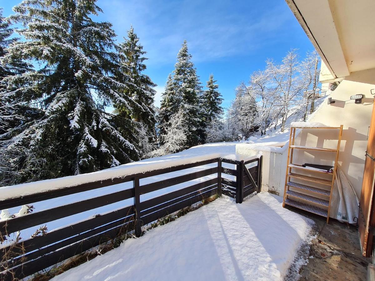 Cosy 1 Chambre, Renove Avec Terrasse Exposee Sud Apartment Font-Romeu-Odeillo-Via