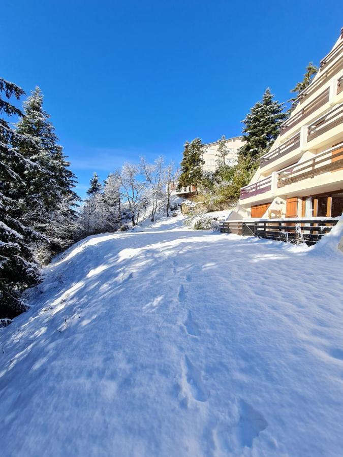 Apartment Cosy 1 Chambre, Renove Avec Terrasse Exposee Sud