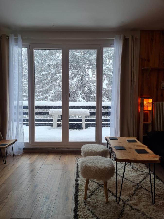Apartment Cosy 1 Chambre, Renove Avec Terrasse Exposee Sud
